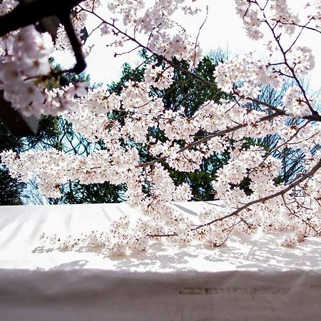 Tora Hotel Tokyo-Kitaueno 寅ホテル北上野 المظهر الخارجي الصورة